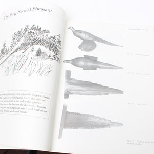 Image Title 3x Wood-Carving Books