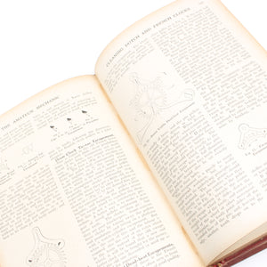 Image Title The Amateur Mechanic Books Vol 1-3
