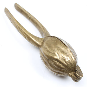 Image Title Old Nut Walnut Nutcracker