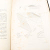 Oblique Arches Book C.1847 Oblique Arches Book C.1847 - OldTools.co.uk