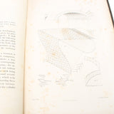 Oblique Arches Book C.1847 Oblique Arches Book C.1847 - OldTools.co.uk