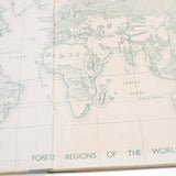 Old Wood Specimens Book with Old Maps - OldTools.co.uk