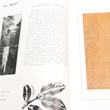Old Wood Specimens Book with Old Maps - OldTools.co.uk