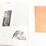Old Wood Specimens Book with Old Maps - OldTools.co.uk