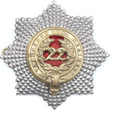 Old Cheshire Cap Badges