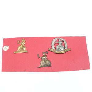 Old 'The Norfolk Regt' Cap Badges