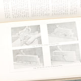 3x Old Woodwork, Woodworker and Carpentry Books