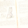Old Horses & Stables Book (C.1894) & Everyday Farriery Book