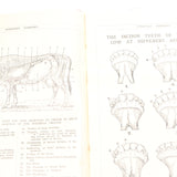 Old Horses & Stables Book (C.1894) & Everyday Farriery Book