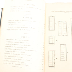 Old Horses & Stables Book (C.1894) & Everyday Farriery Book