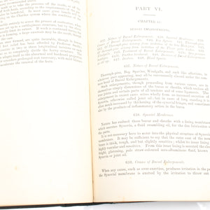 Old Horses & Stables Book (C.1894) & Everyday Farriery Book