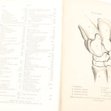 Old Horses & Stables Book (C.1894) & Everyday Farriery Book