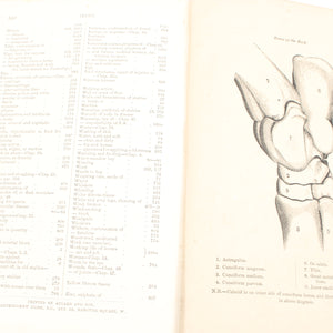 Old Horses & Stables Book (C.1894) & Everyday Farriery Book