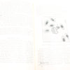 3x Old Farming and Diseases Of Poultry Books