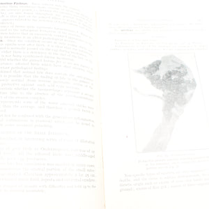 3x Old Farming and Diseases Of Poultry Books