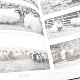 3x Old Farming and Diseases Of Poultry Books