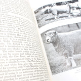 3x Old Farming and Diseases Of Poultry Books