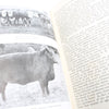3x Old Farming and Diseases Of Poultry Books