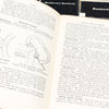3x Woodworker Handbooks Books