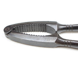 Old Sturdy Decorative Etched Nutcrackers