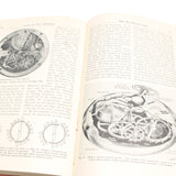 Old Hydraulics Book & How It Works Book