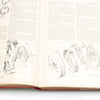 8x Old Woodwork Books