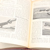 The Amateur Mechanic Books Vol 1-3