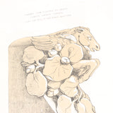 Old Quarterly Papers on Architecture Book | Volume II C.1844 - OldTools.co.uk