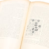 Les Entrailles de la Terre Book (French, Mining / Wildlife)