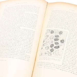 Les Entrailles de la Terre Book (French, Mining / Wildlife) - OldTools.co.uk