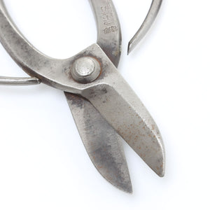 Japanese Bonsai Shears - OldTools.co.uk